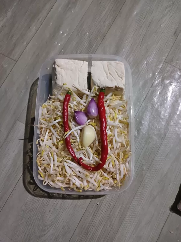 Tumis toge tahu